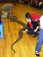 A creepy crawly visit to Blessed Sacrament School