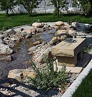 Guadalupe Garden in full bloom