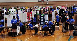 Diocesan science fair draws more than 200 entries