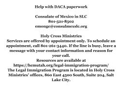 Immigration services offer help with DACA renewals