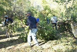 Voluntarios Católicos tienden una mano de ayuda después de la tormenta