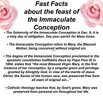 Solemnity of the Immaculate Conception of Mary on Dec. 9 is a holy day of obligation