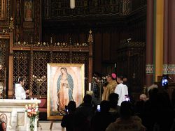 Cathedral celebrates Our Lady of Guadalupe