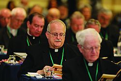Bishops' Fall General Meeting: Revision of priorities for the early 2020s