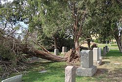 Catholic volunteers help clean up after storm