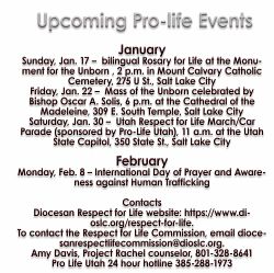 Pro-life efforts part of diocese's January events